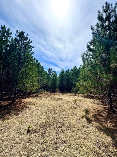 Lot 1 Scenic Hwy 7, Bovey, MN 55709