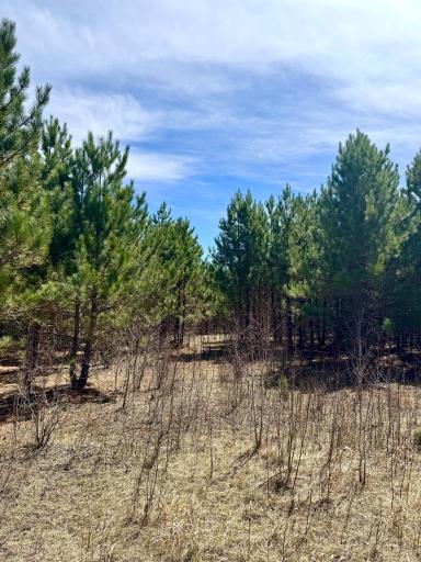 Lot 1 Scenic Hwy 7, Bovey, MN 55709