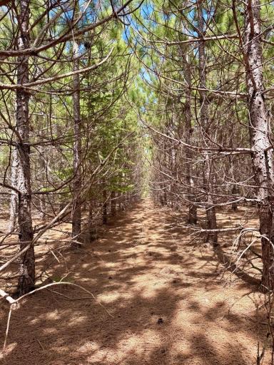 Lot 1 Scenic Hwy 7, Bovey, MN 55709