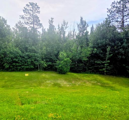 Mizpah, MN 56660