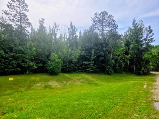 Mizpah, MN 56660