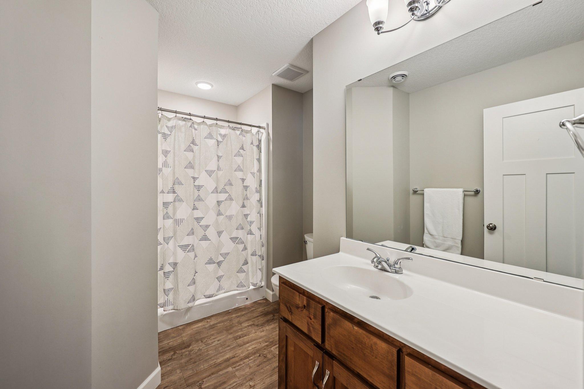 Lower level bathroom