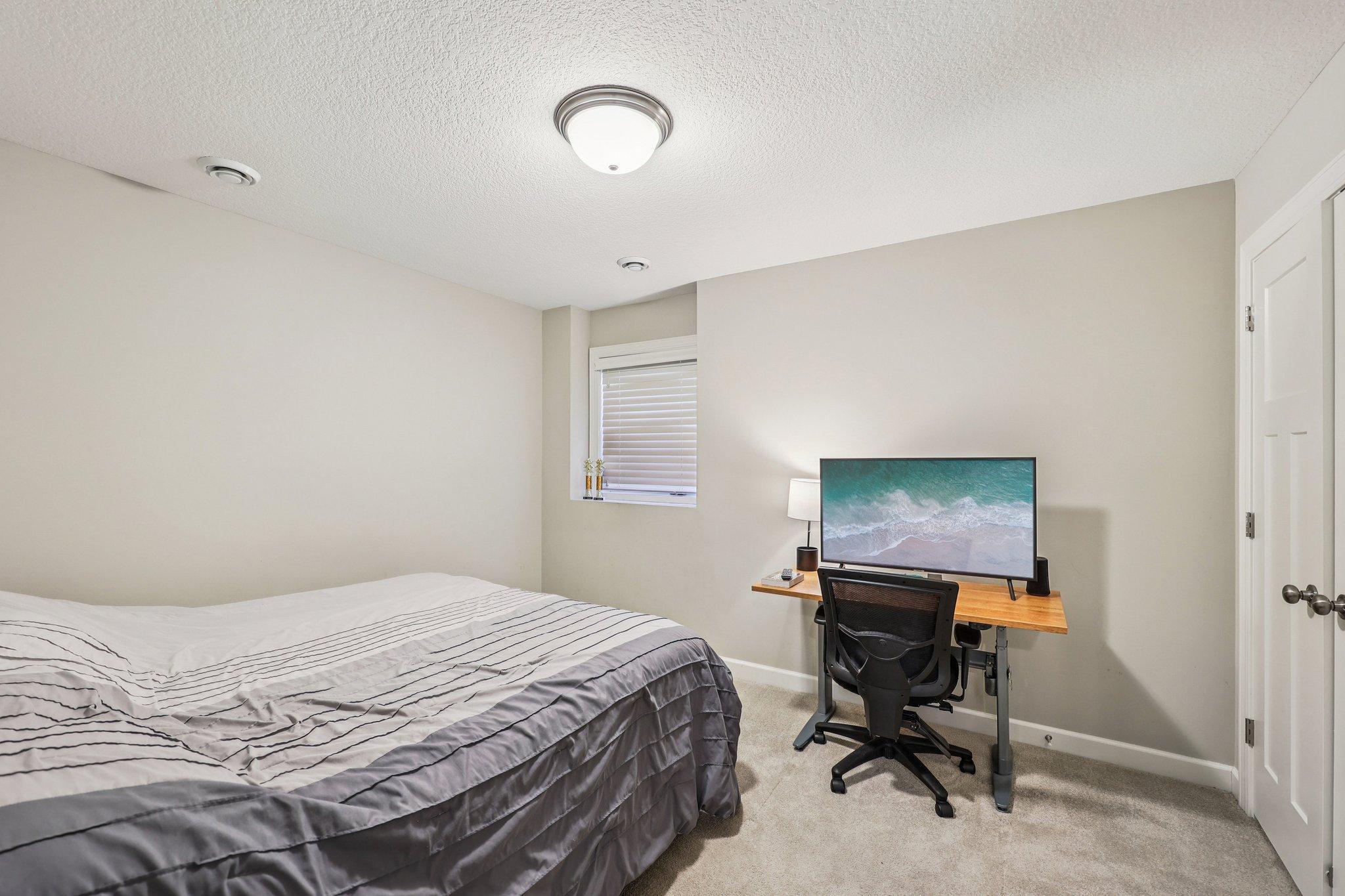 Lower level bedroom