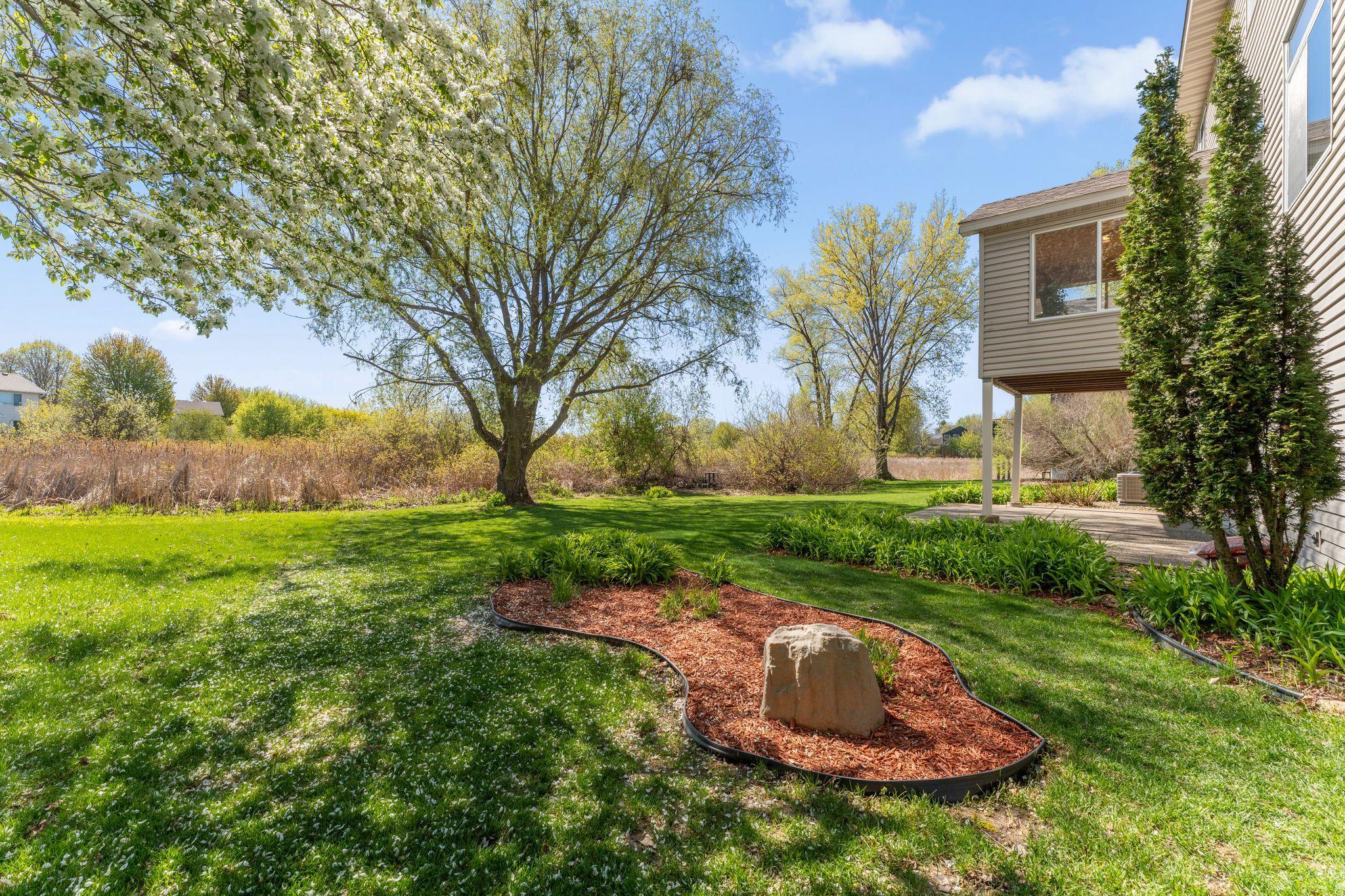 Left side of backyard.jpg