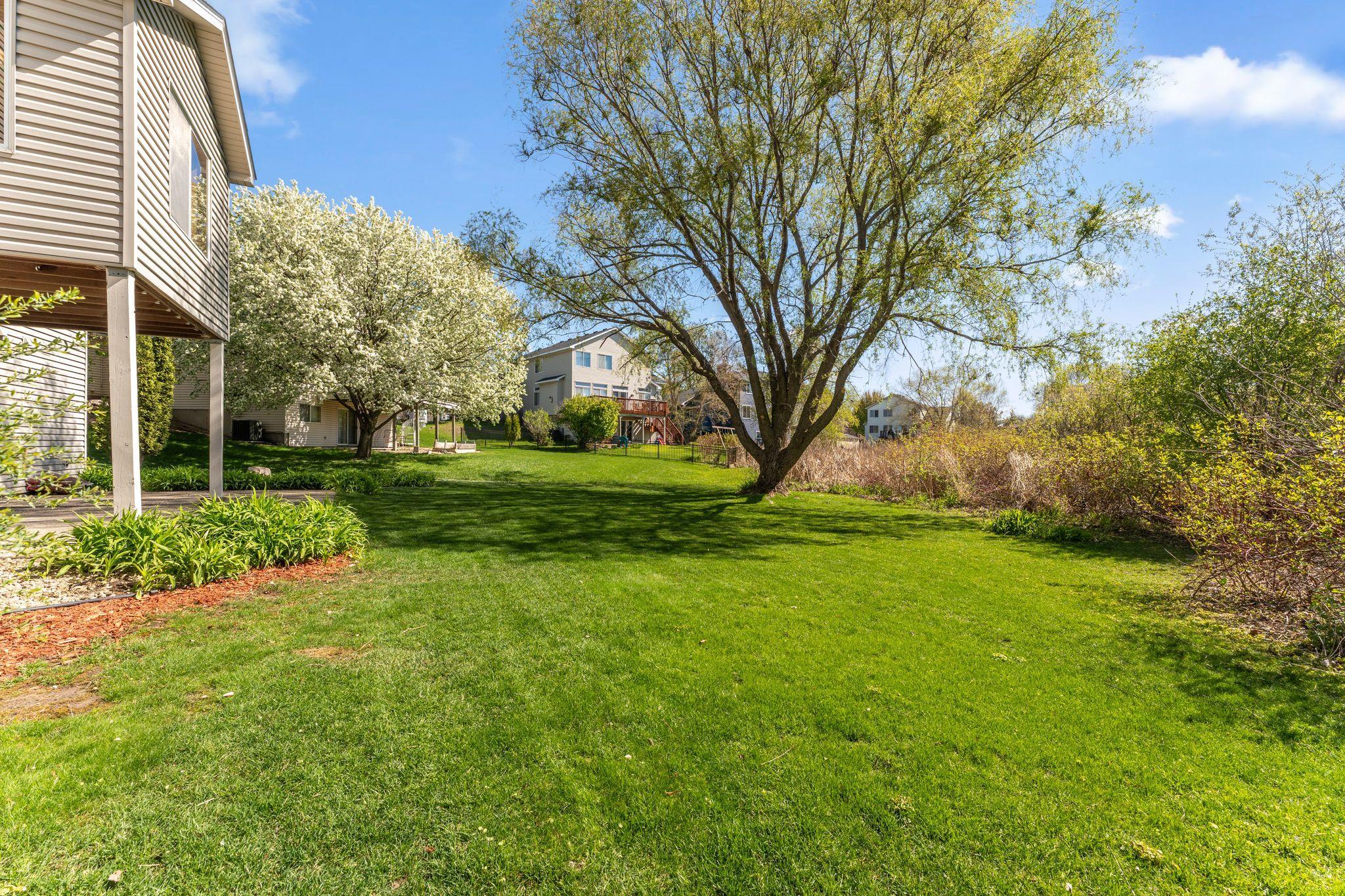 Spacious backyard.jpg