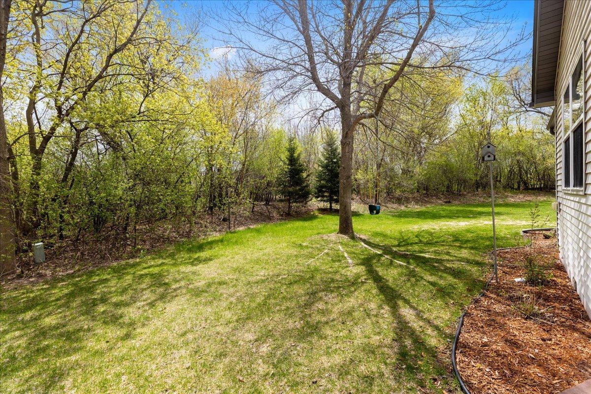 Nature filled backyard
