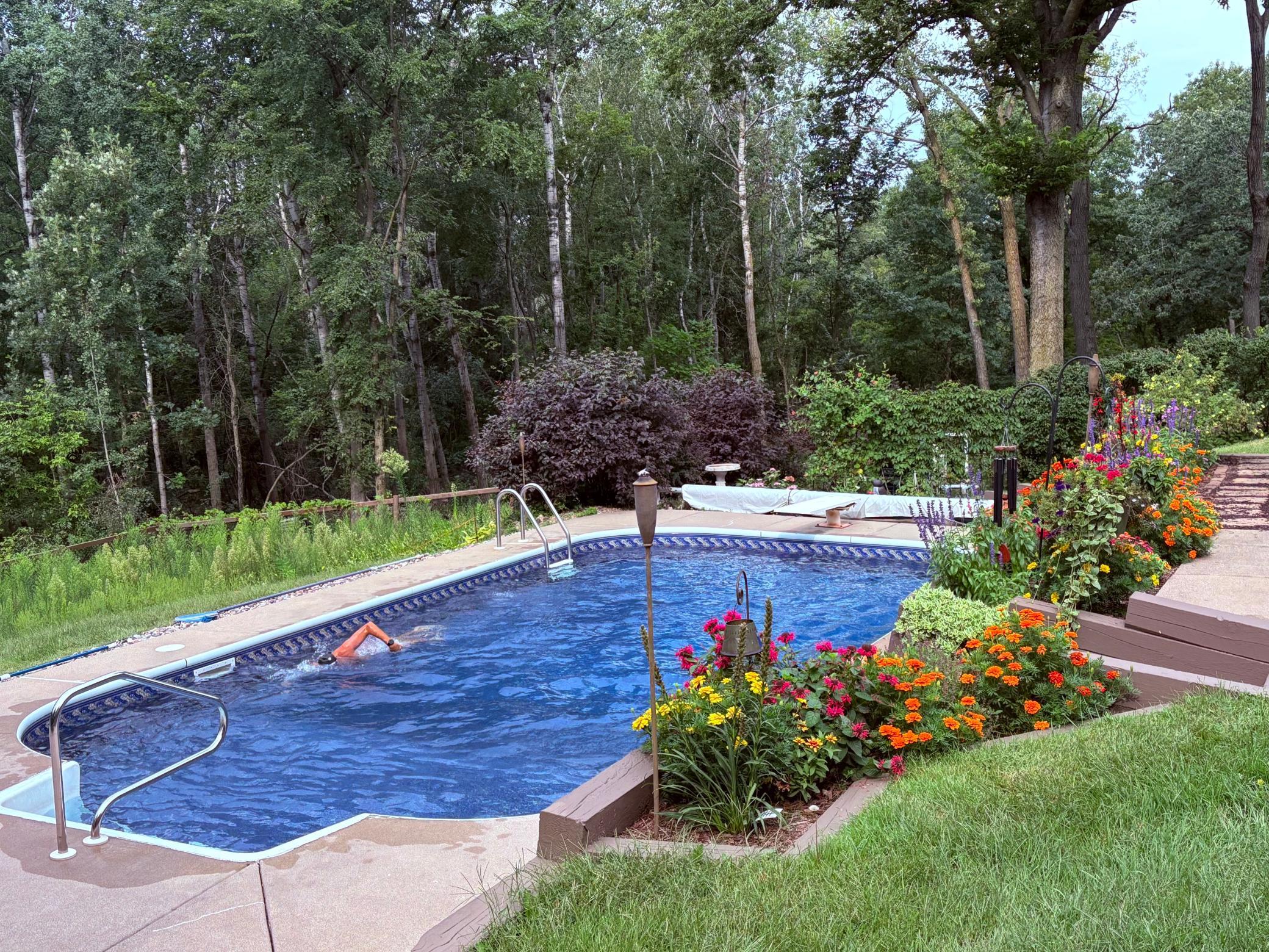A view of the pool from last year with beautiful flowers around it.