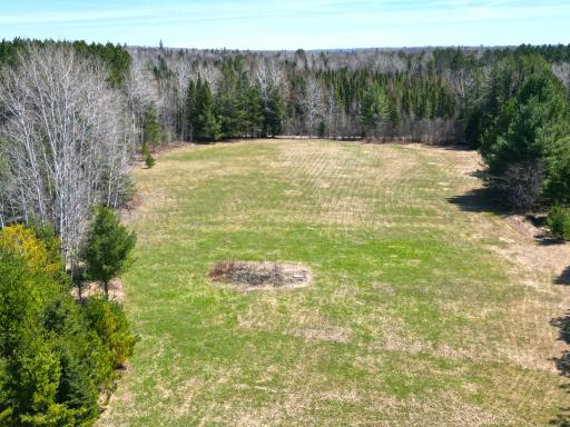 Wide open green space with endless possibilities.