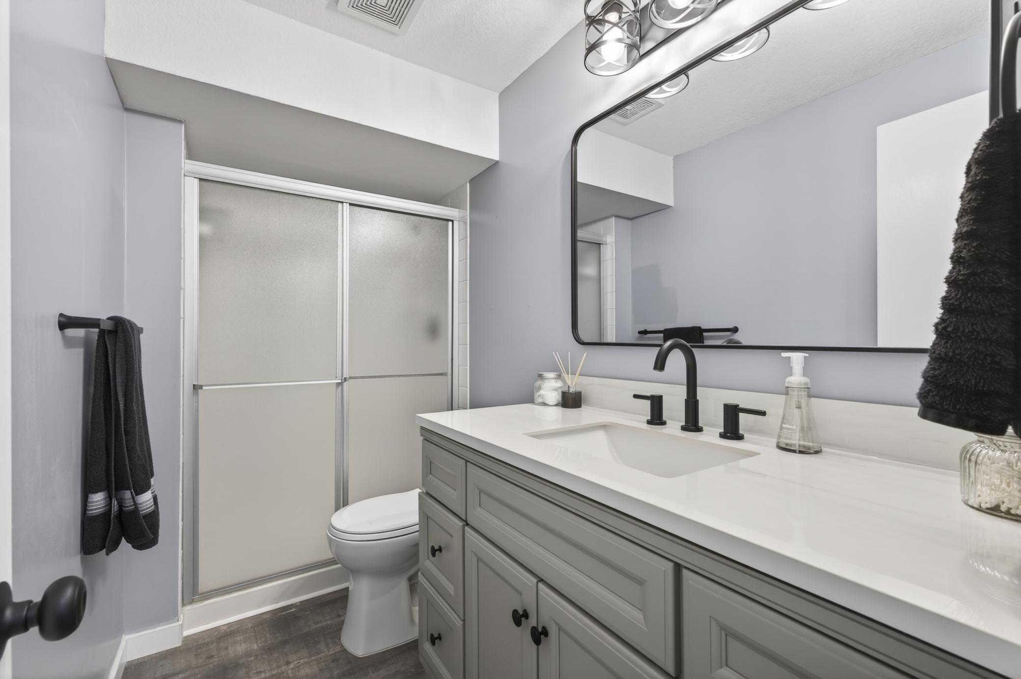 Lower Level Bathroom