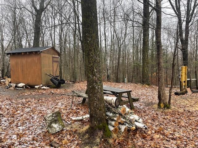 shed fall.jpg