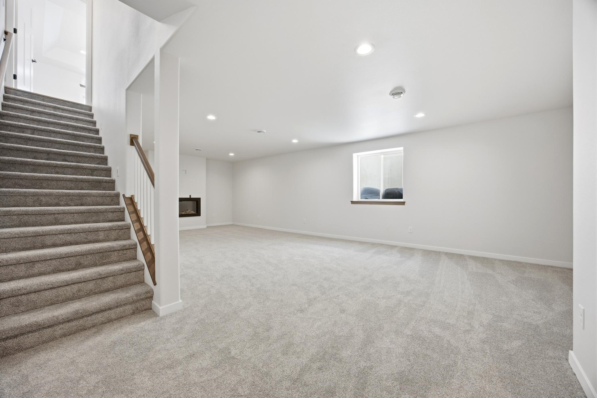Basement Family Room