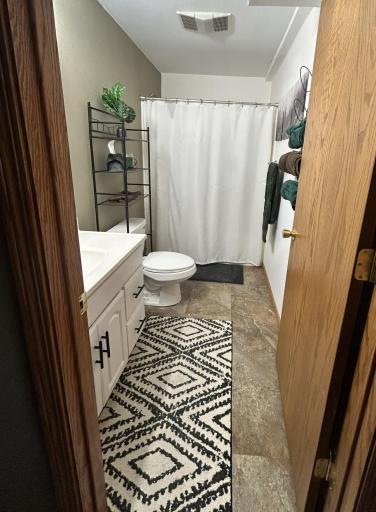 Lower level full bathroom