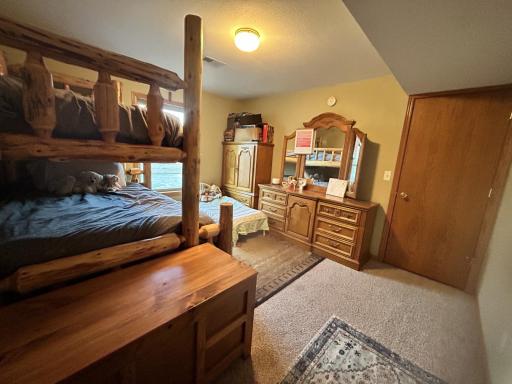 Bedroom #3, on the lower level, with walk in closet!