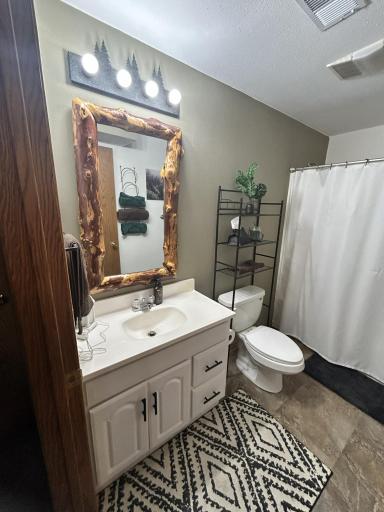 Lower level full bathroom