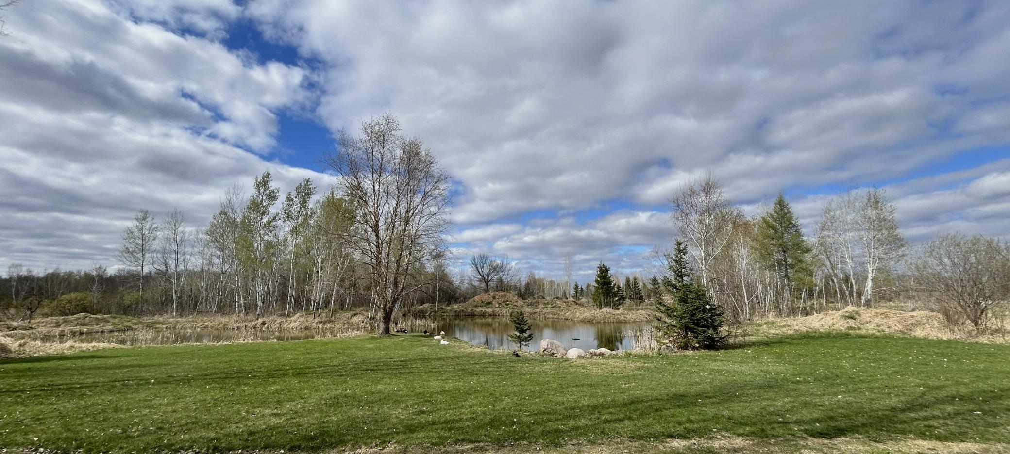 A beautiful pond with lots of nature that will come and go with the seasons
