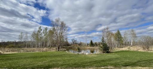 A beautiful pond with lots of nature that will come and go with the seasons