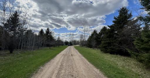 Private drive and trees provide a peaceful zone around the home