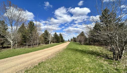 Private drive and trees provide a peaceful zone around the home
