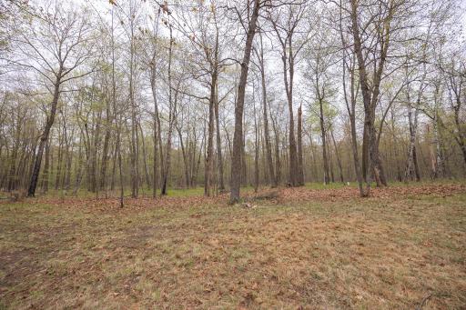4565 Spinner Trail NE, Remer, MN 56672