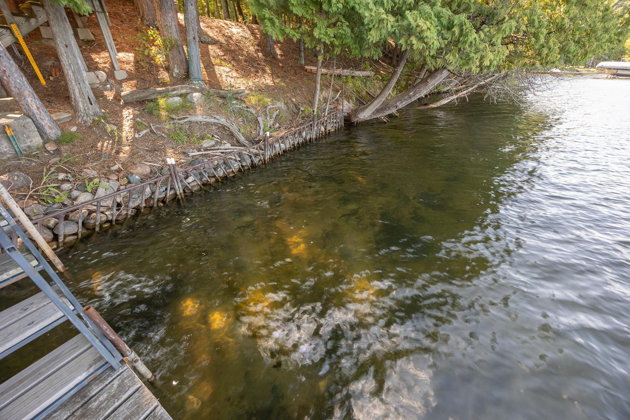 Wonderful hard bottom shoreline