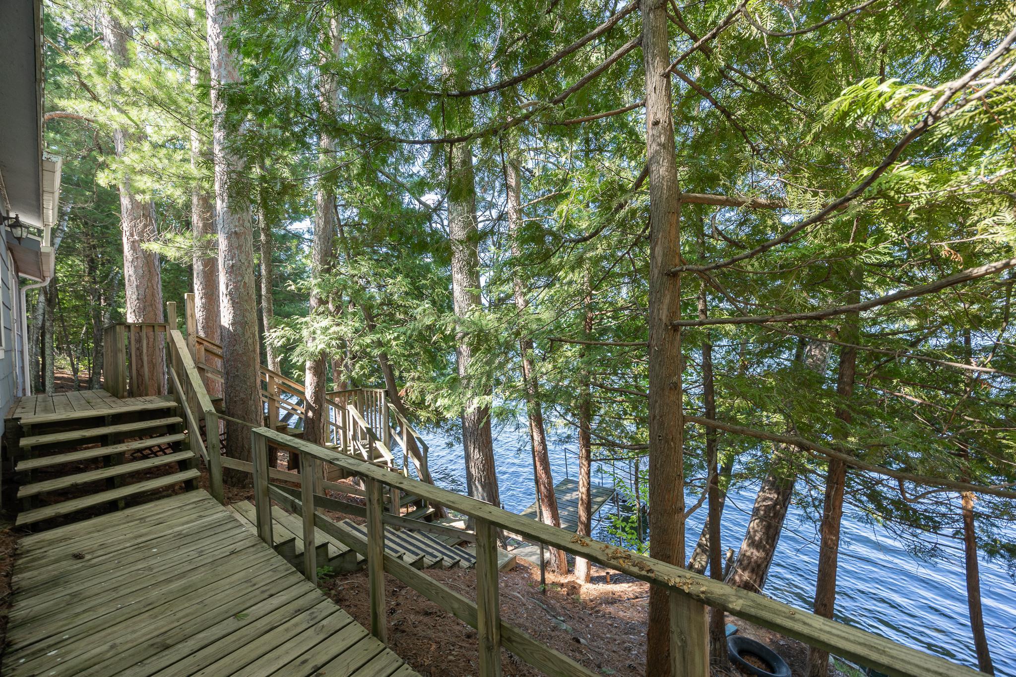 Enjoy the towering pines