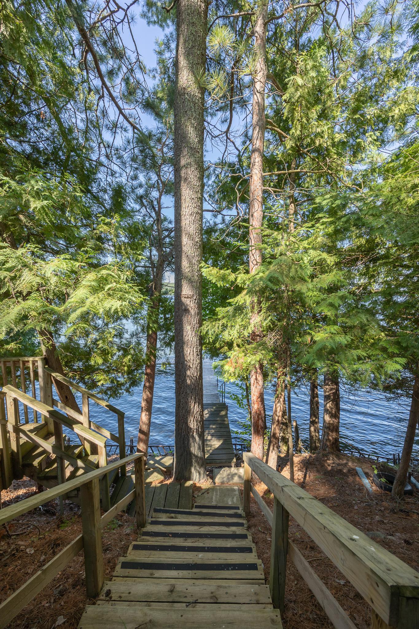 Enjoy the views through the towering pine trees