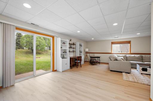 Walkout lower level with huge family room