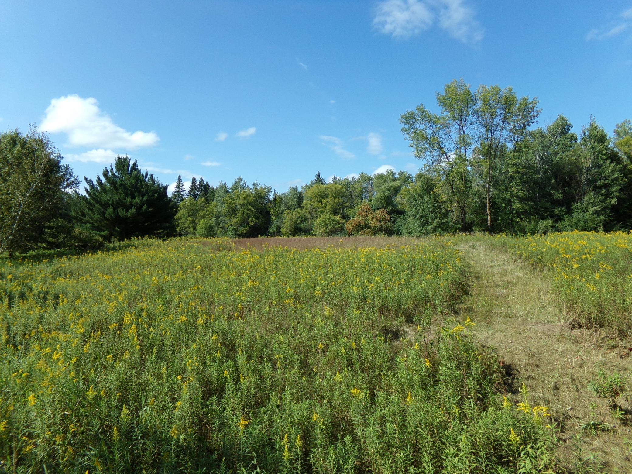 Property photo for 67xx Old Sawmill Road, Harris, MN 55032