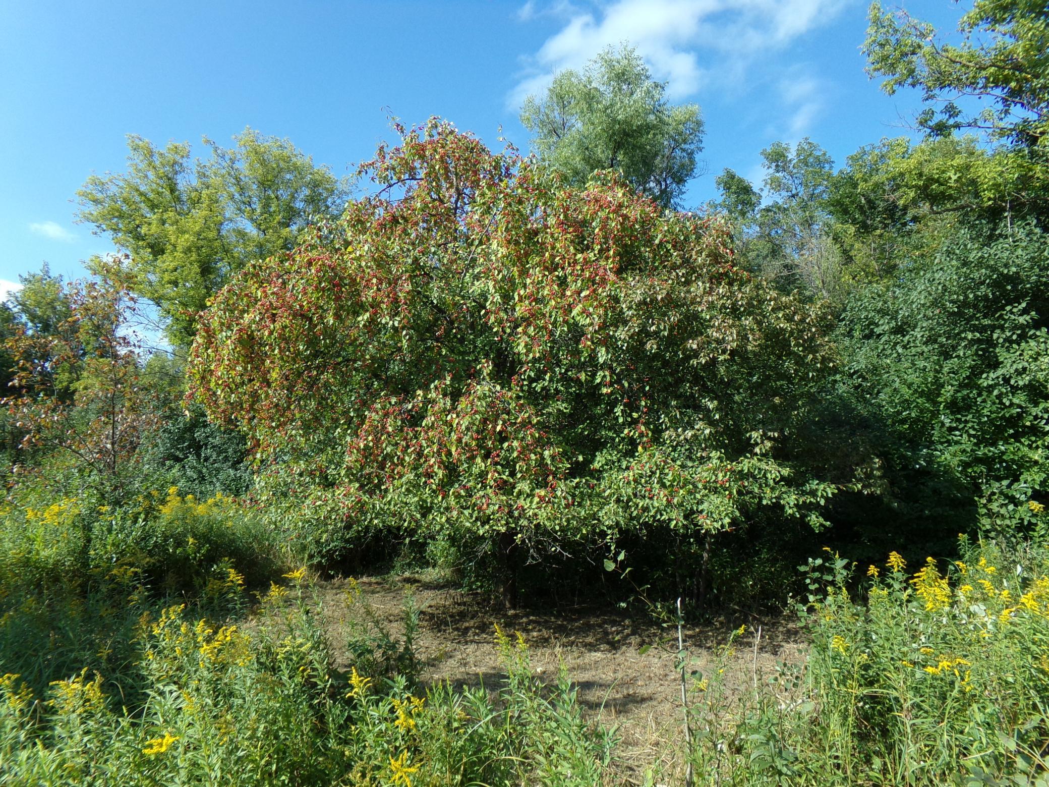 Photo 7