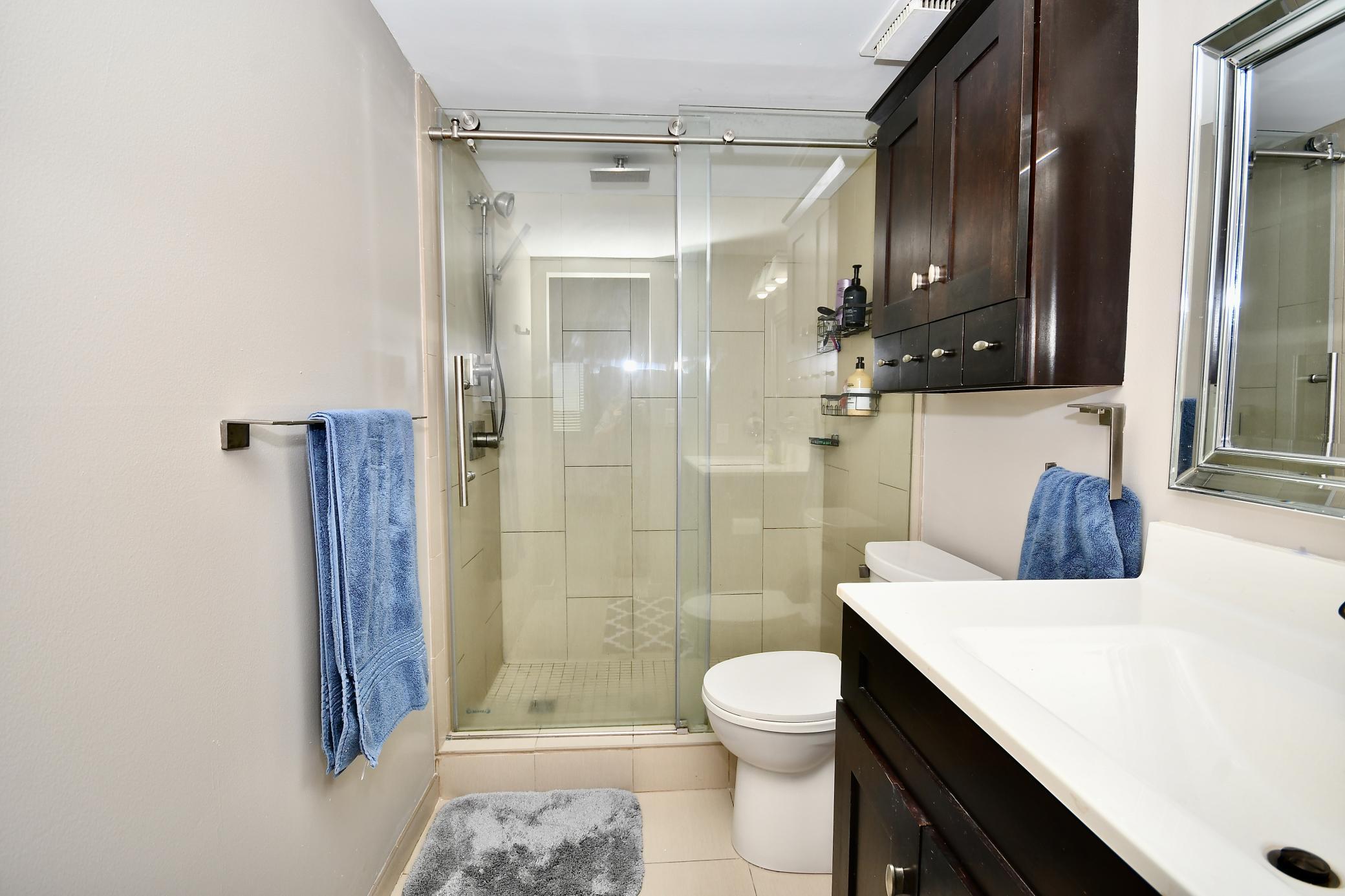 Master Bedroom Bathroom