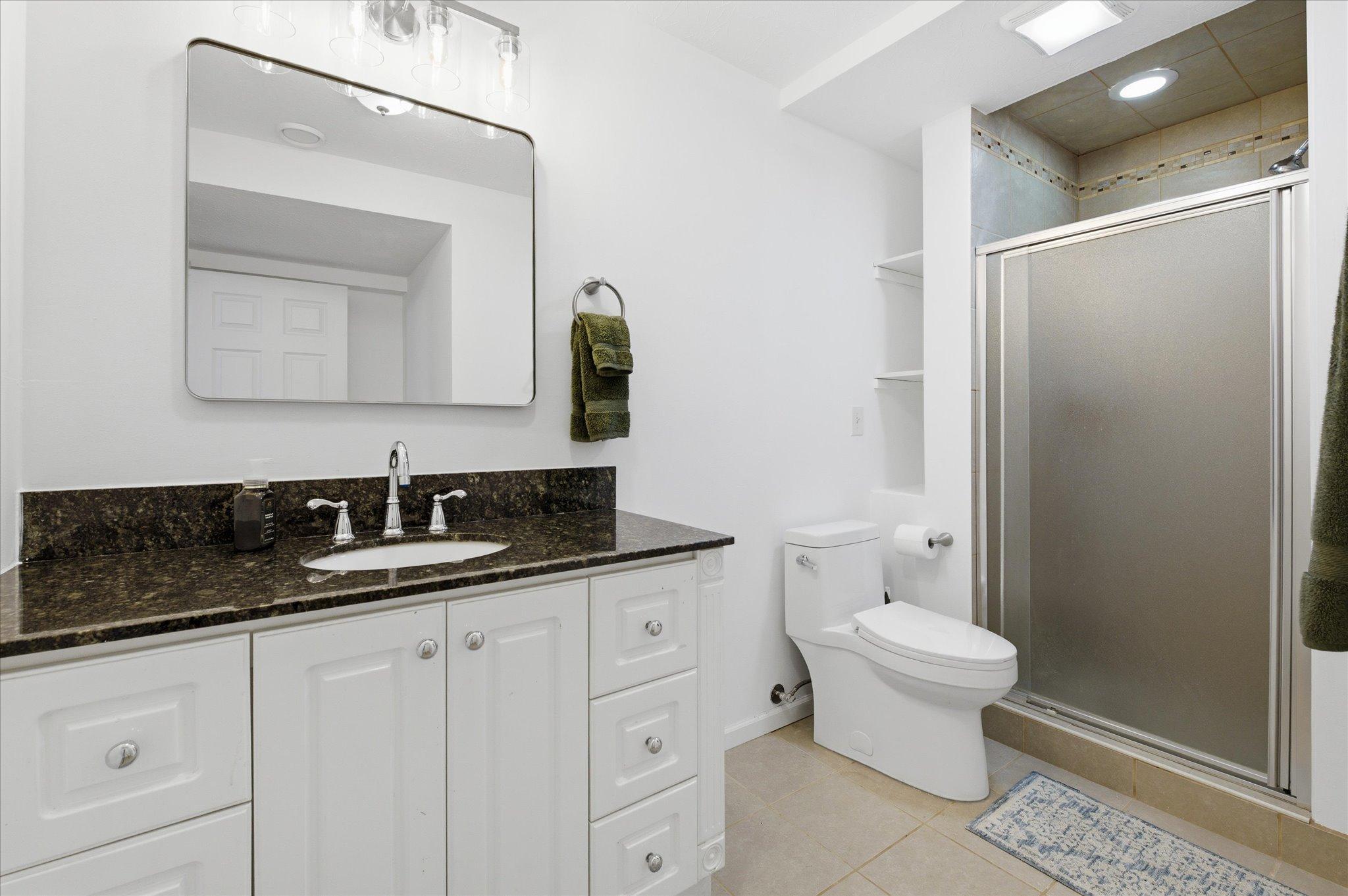 Updated 3/4 lower level bath