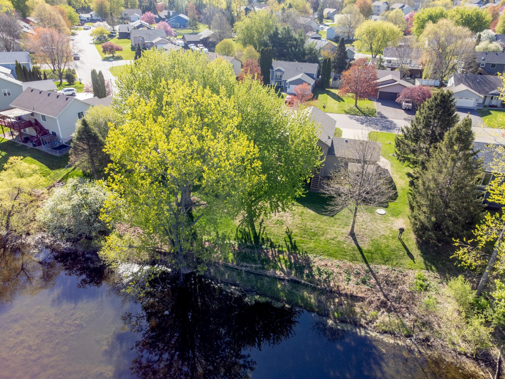 Photo 38