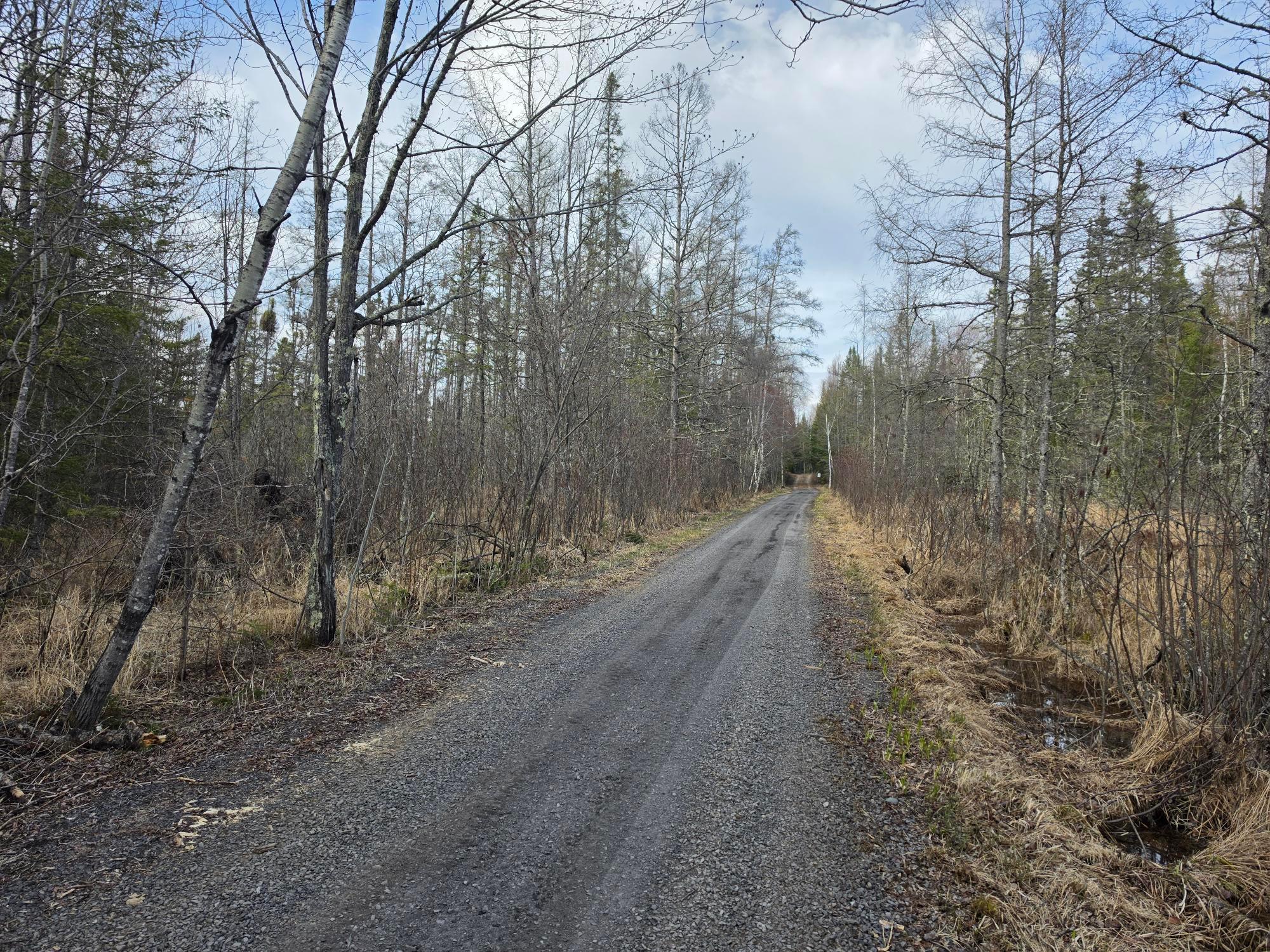Photo 35