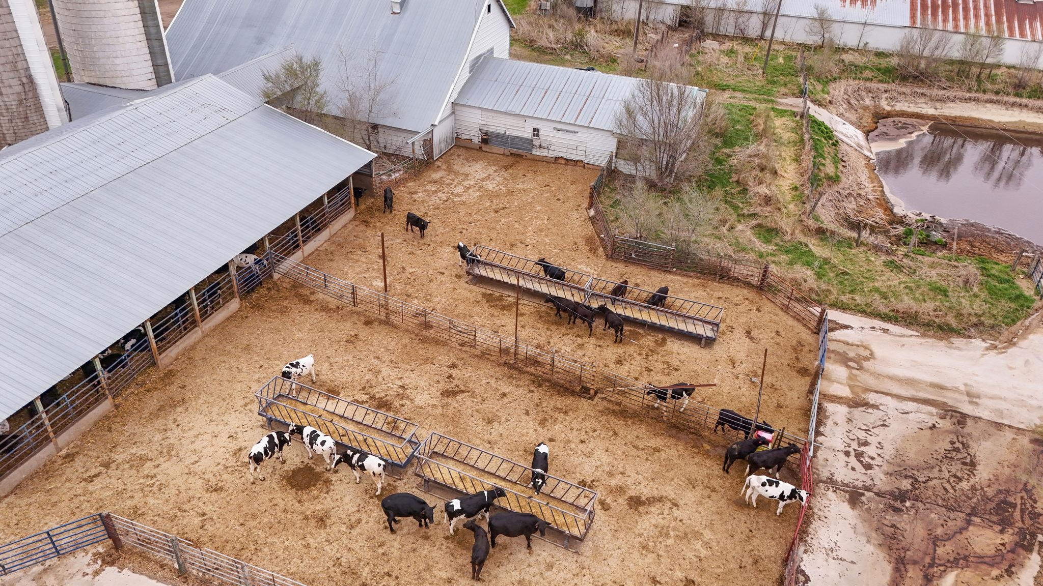 DJI_20260423095916_0906_D.jpg