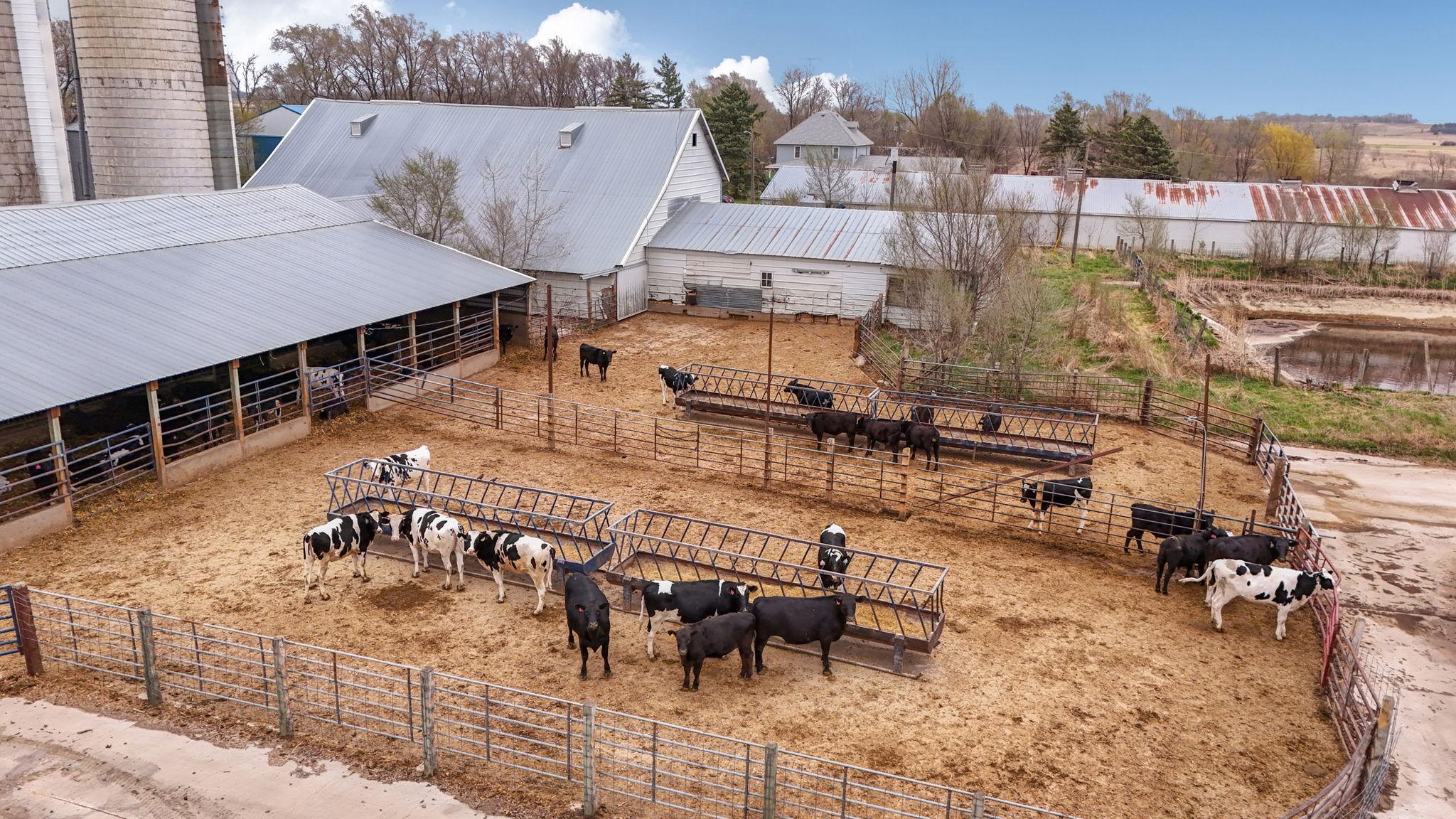 DJI_20260423095924_0907_D.jpg