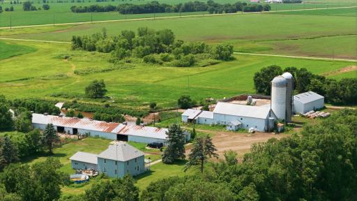 Paynesville, MN 56362