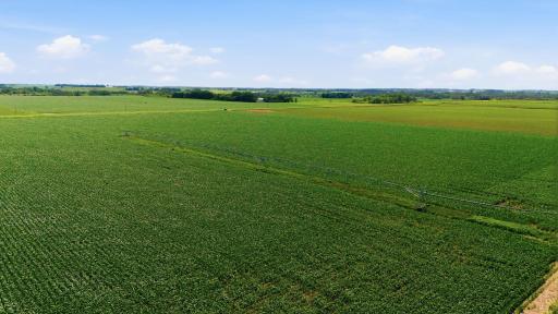 Paynesville, MN 56362