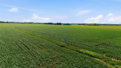 Paynesville, MN 56362