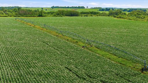 Paynesville, MN 56362