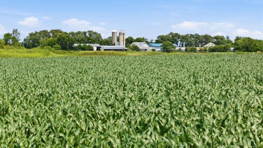 Paynesville, MN 56362