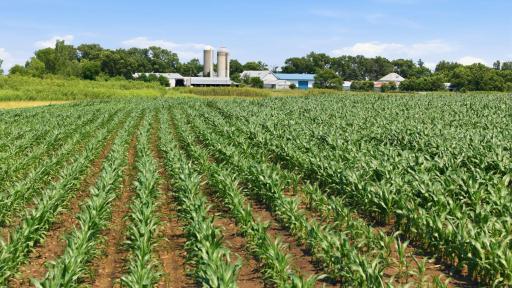 Paynesville, MN 56362