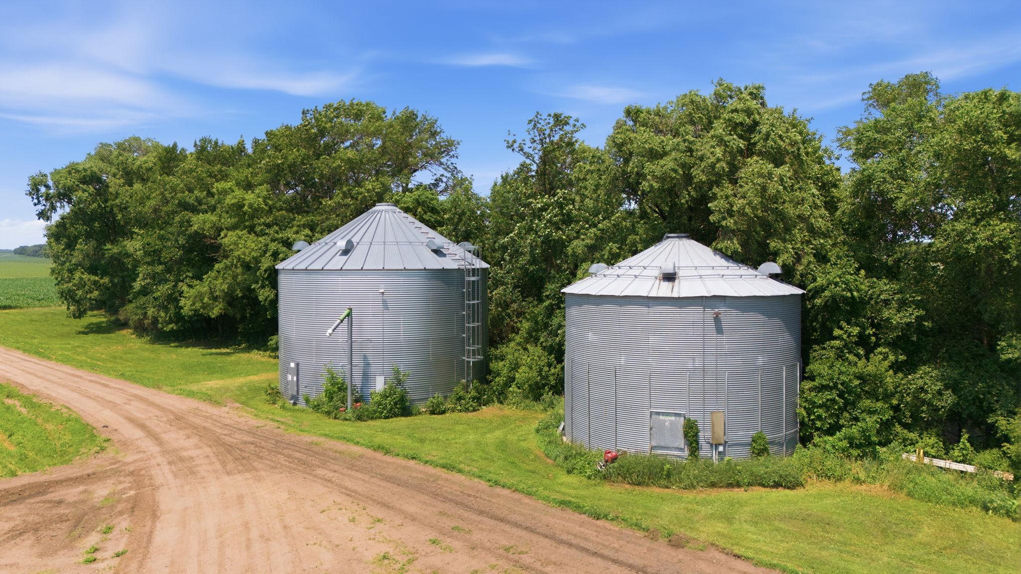 Grain bids in great shape