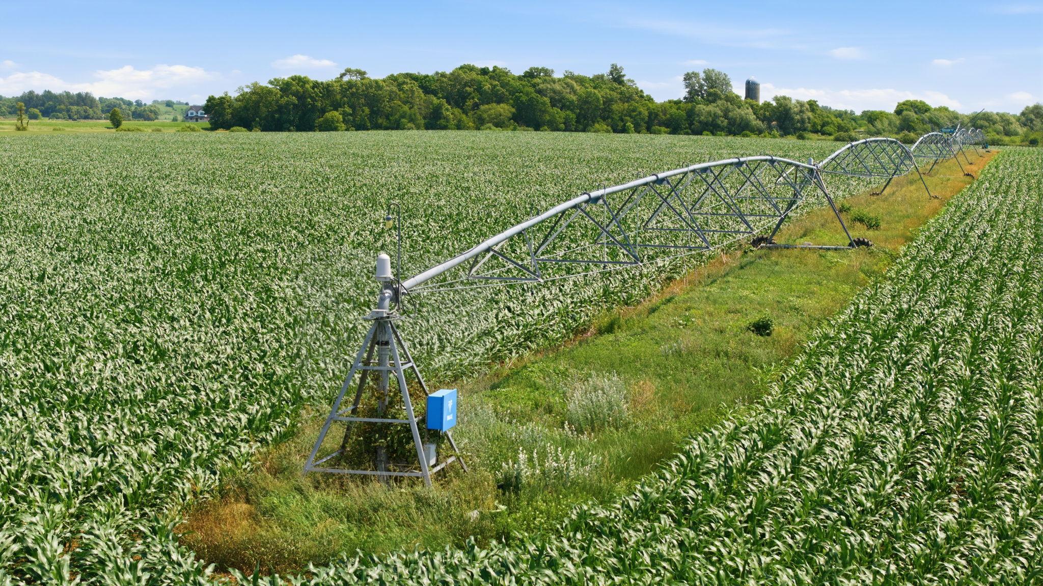 Irrigation system in great shape
