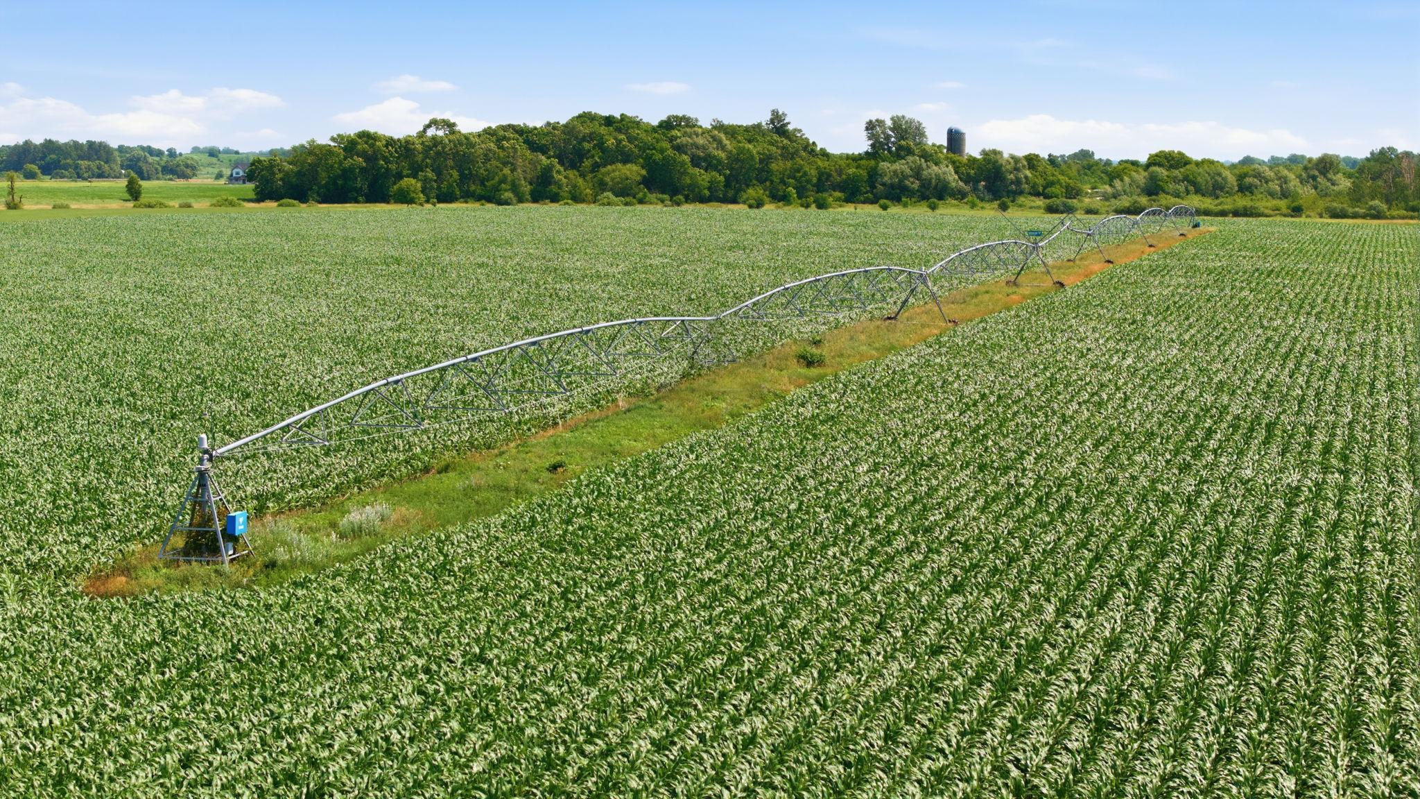 186 Acres of crop land