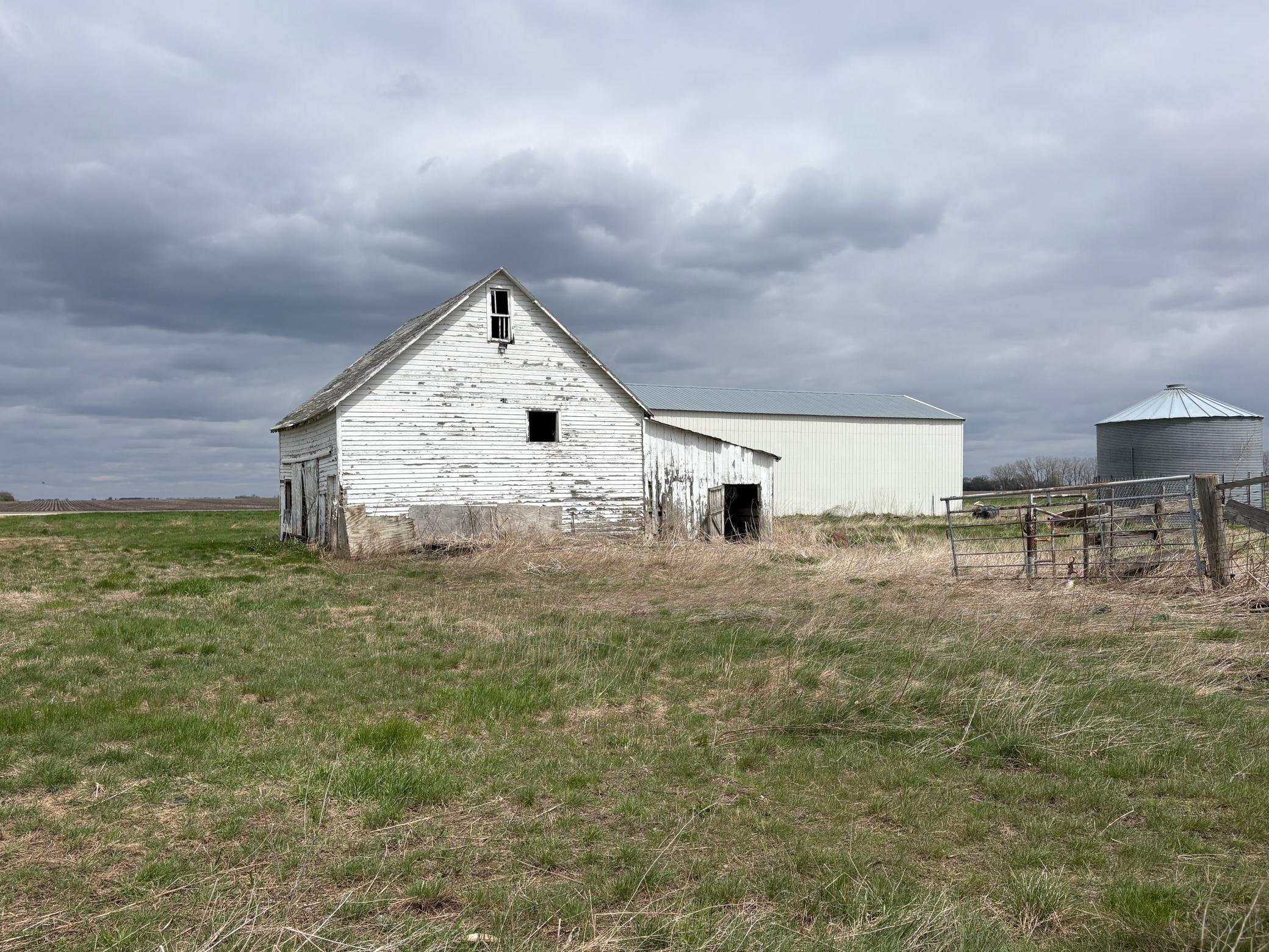 IMG_3342.jpeg