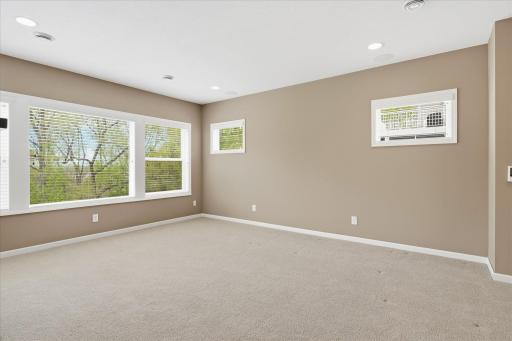 Lower level family room showing huge windows looking over the preserve area
