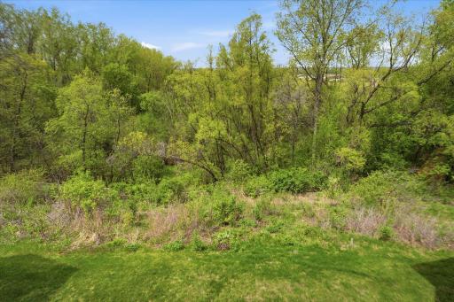 One of the views from the deck and/or the lower level patio