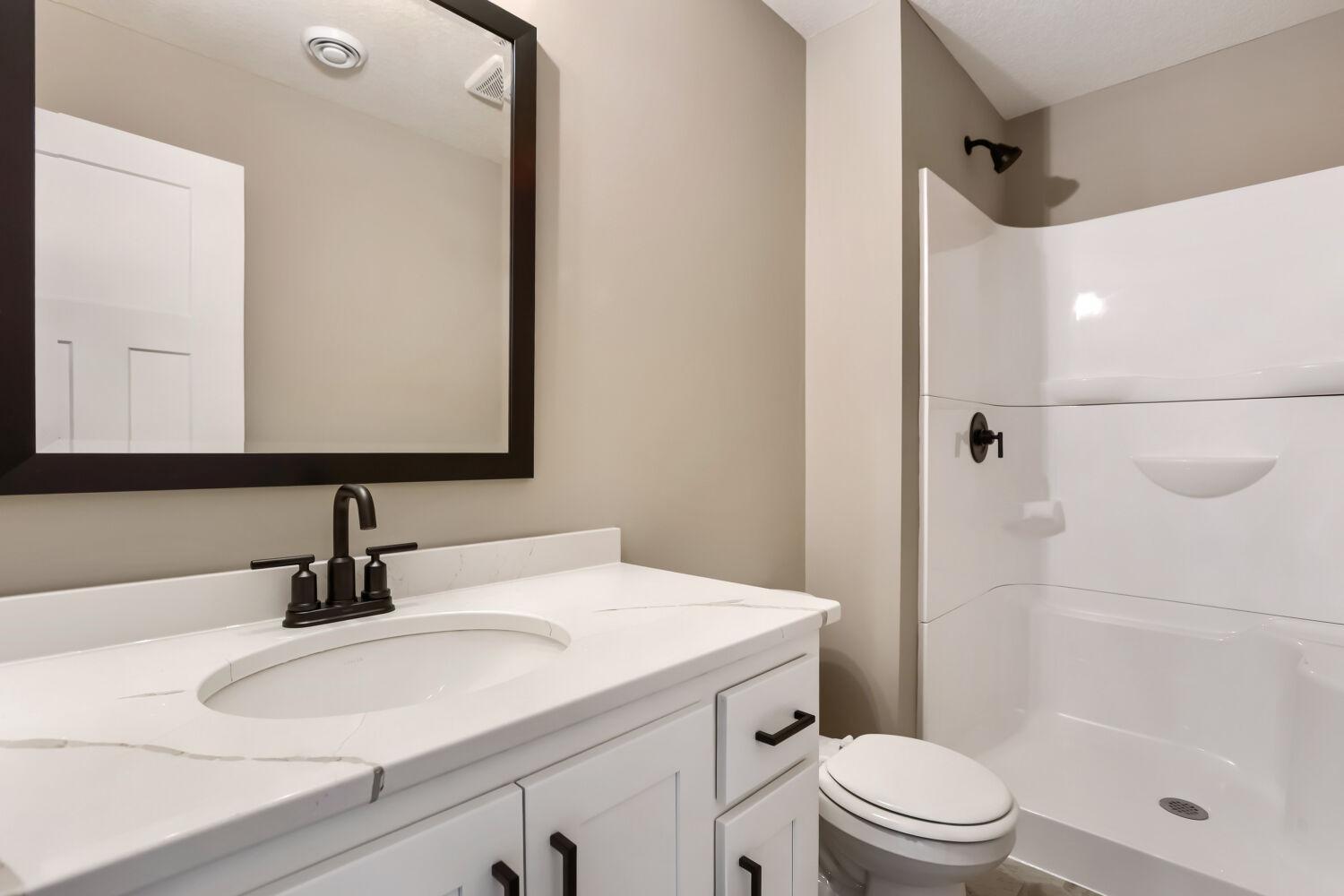 Lower Level Bathroom