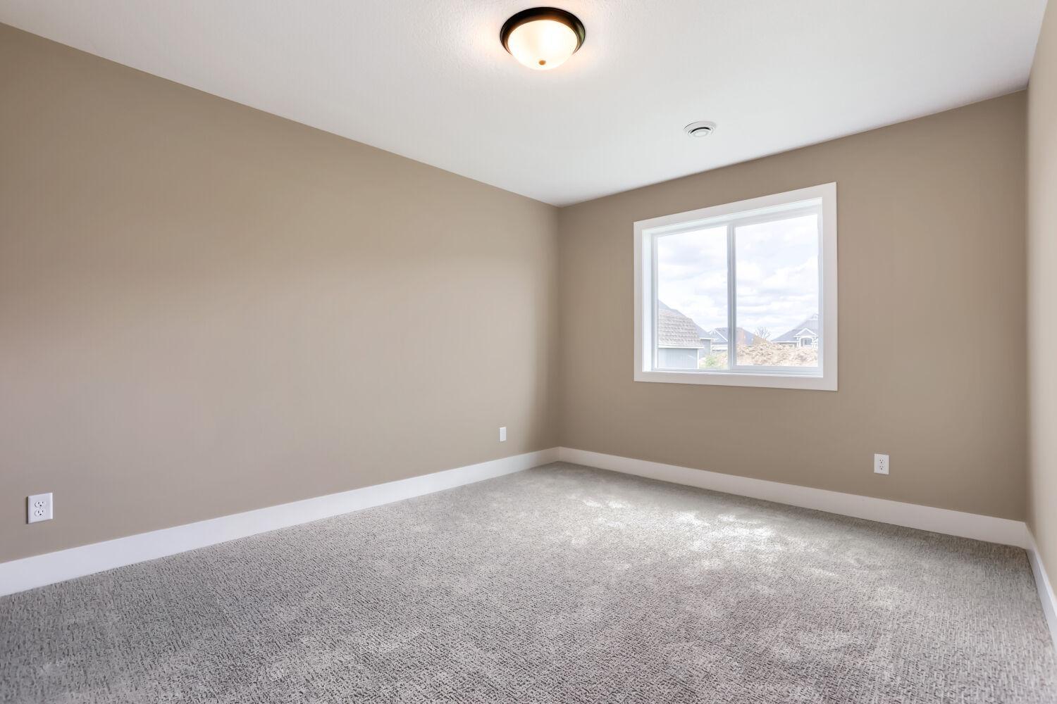 Lower Level Bedroom