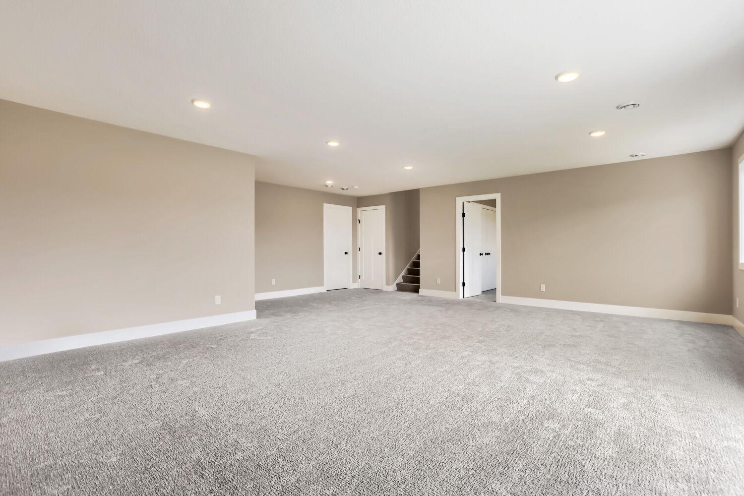 Lower Level Family Room